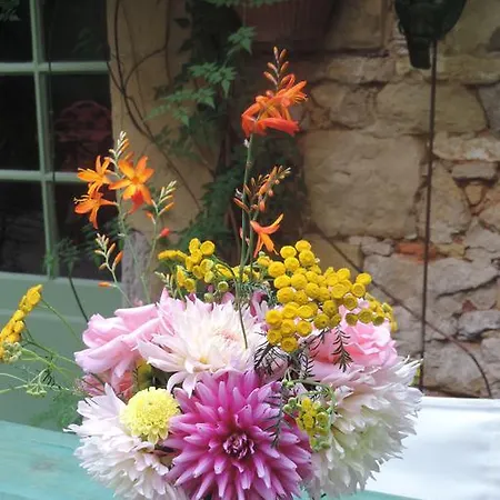 Bed & Breakfast Aux Delices D'excideuil Excideuil